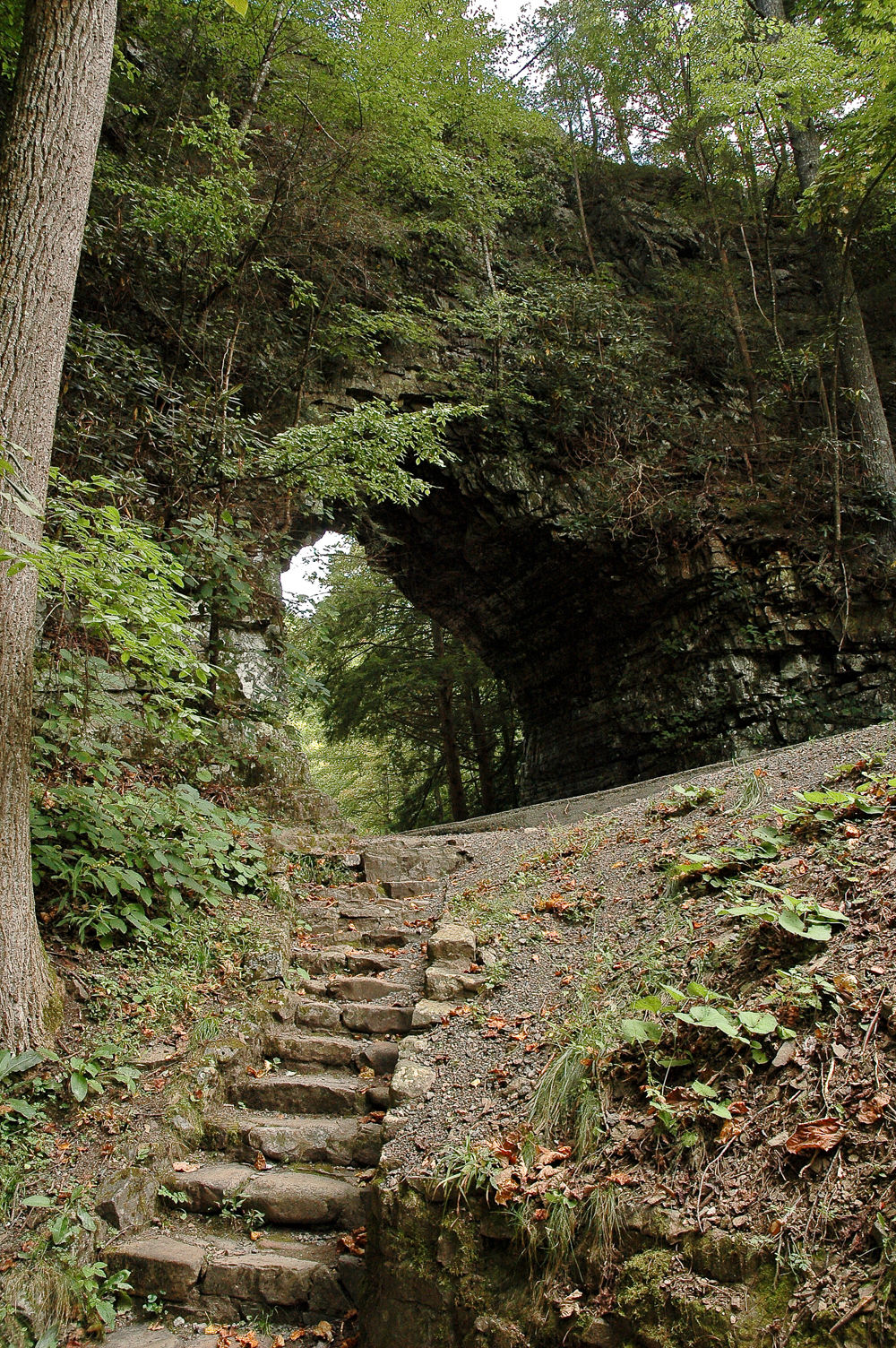 Backbone Rock